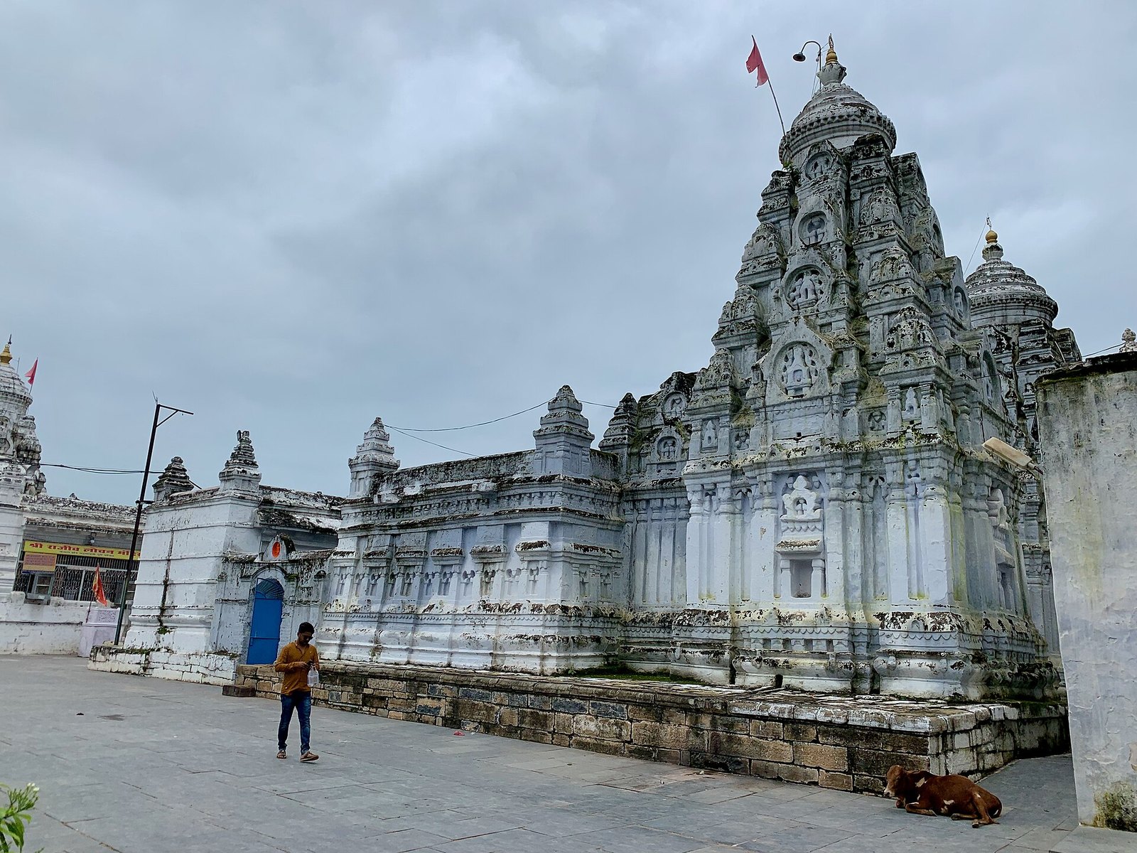 फिंगेश्वर से राजिम पहुंची कांवड़ यात्रा, जनप्रतिनिधियों ने किया स्वागत