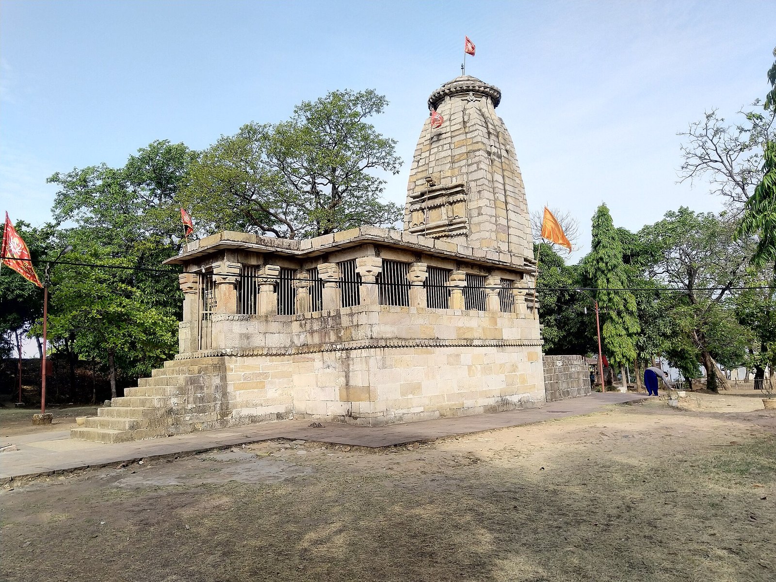 कोरबा: कब्जामुक्त वन भूमि पर लगाए नीम-सागौन के पौधे