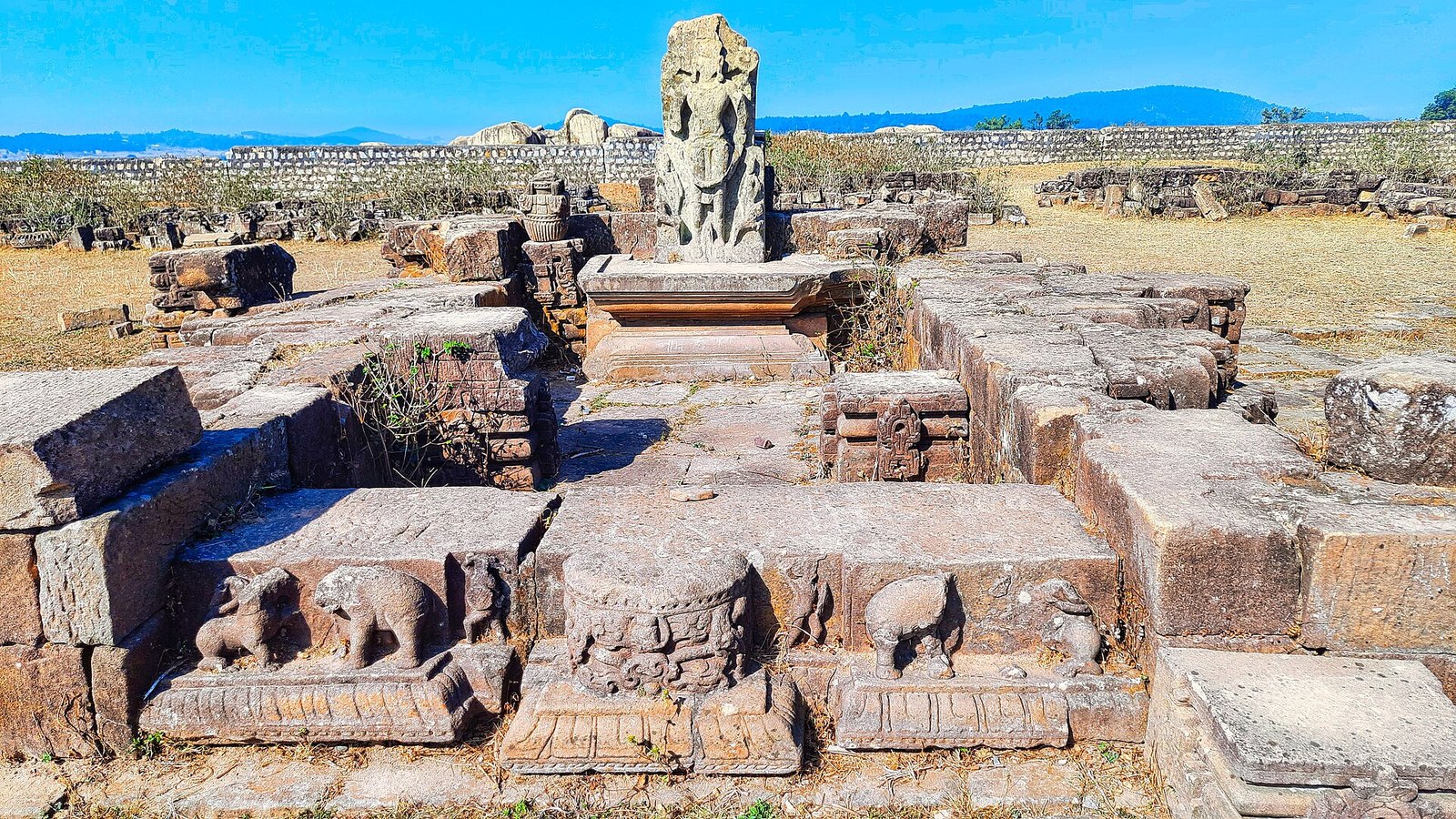 रामानुजगंज: सागौन तस्करी रोकते समय वनरक्षक घायल